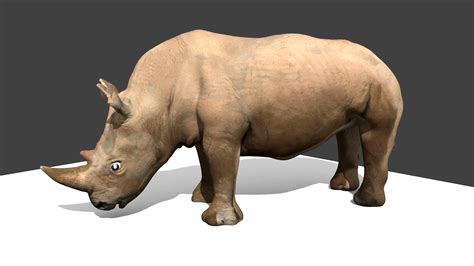 rolex rhinoceros dowload|rhinoceros 3d free download.